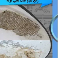 تشخیص ترکیدگی لوله با دستگاه اسکنر تصویری|خدمات پیشه و مهارت|تهران, بلوار کشاورز|دیوار