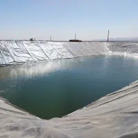 استخر ژئوممبران