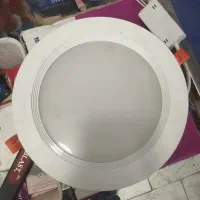 آلوژن دیواری