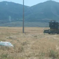 فروش فوری زمین کشاورزی چهاردنگه