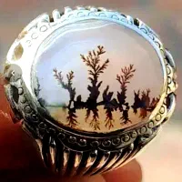 شجر قائنات کلکسیونی