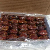 استخدام ۲۰ نفر نیروی خانوم