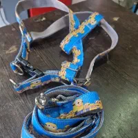 غلاده کمری سگ پاکوتا