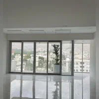 195 متر / برج باغ معروف / نوساز|اجارهٔ آپارتمان|تهران, ونک|دیوار