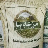 برنج مزرعه ما