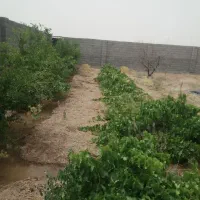 فروش-باغ-جوزدان-نجف-اباد