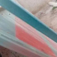 شیشه ای رستوران