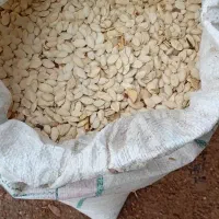 تخمه‌کدو‌‌درجه‌یک‌