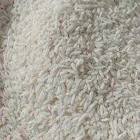 برنج علی کاظمی