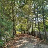 875-متر-اویجدان-کلاردشت