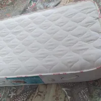 تشک نوجوان.روروک.کریر