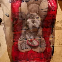 کالسکه و کریر برند انگلیسینا