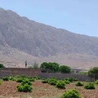 زمین-باغی