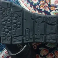 کفش زنانه نو نوهستش|کیف، کفش، کمربند|قم, خاکفرج|دیوار