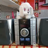 ظبط و باند سونی