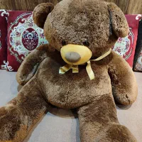 عروسک خرس بزرگ|اسباببازی بچه|رشت, معلم|دیوار