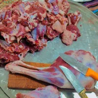 قصاب سلاخ  در منزل یا ویلای شما