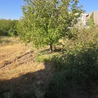 ۲۵۰مترزمین‌سندتک برگ شهرکی فاز ۳بهترین منطقه آبسرد