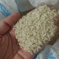 برنج محلی تضمینی