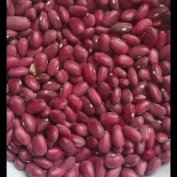 نخودوعدس ولوبیاچیتی ولوبیاقرمز شیره انگو محلی