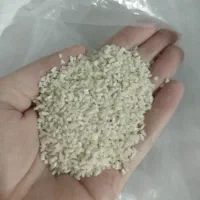 نیم دونه هاشمی استانه