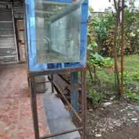 اکواریوم|ماهی|رشت, حومه رشت|دیوار