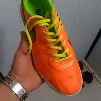 کتونی سالنی نایک مجستا