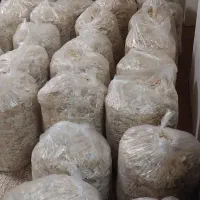 تمیزترین نان خشک خریدار نان تر با بالاترین قیمت