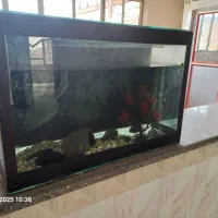 آکواریوم بزرگ