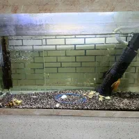 آکواریوم بزرگ