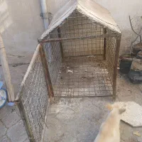 قفس|لوازم جانبی حیوانات|نیشابور, عدالت|دیوار