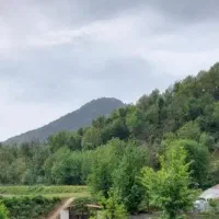 اجاره روزانه ویلا در دل طبیعت از امشب خالی|اجارهٔ کوتاه‌مدت ویلا و باغ|ماسال, |دیوار