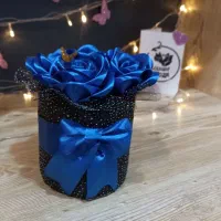 گل روبانی فقط250