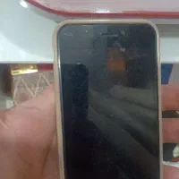 خط دائمی