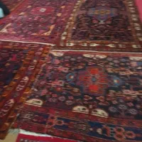 فرش دست بافت|فرش|کوهدشت, |دیوار