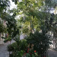 خرید و فروش املاک