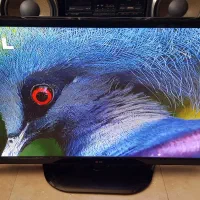 LG PLASMA 42ً|تلویزیون و پروژکتور|خوی, |دیوار
