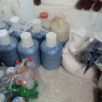 شیره انگور و خشکبار فروشی شور شیرین