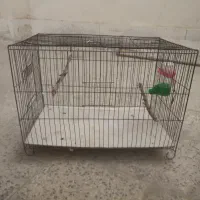 قفس پرنده