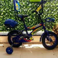 دو عدد دوچرخه آبی سایز ۱۲