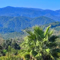 کلبه ویلا با استخر آب داغ و ویو جنگلی دربست|اجارهٔ کوتاهمدت ویلا و باغ|رامسر, |دیوار