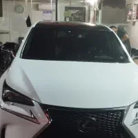 کارگر حرفه ای کارواش