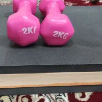 دمبل واستپ|تجهیزات ورزشی|نجفآباد, شهدای غربی|دیوار