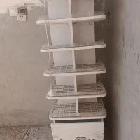 استند ام دی اف