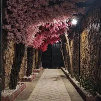 مشارکت در کافه رستوران|استخدام مالی، حسابداری، حقوقی|تهران, پونک|دیوار
