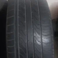 لاستیک تری انگل