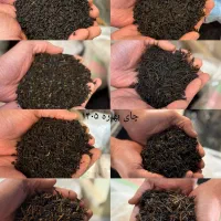 چای بهاره ۱۴۰۵