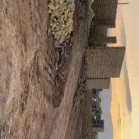 زمین مسکونی