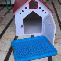 لانه سگ و گربه