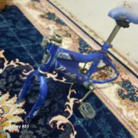 تنه دوچرخه ۱۲